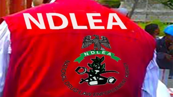 NDLEA Recruitment 2025/2026